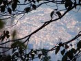 /album/galeria-urbana/n796348985-1895086-6299-jpg/